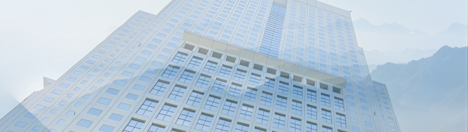 理律日本合同會社